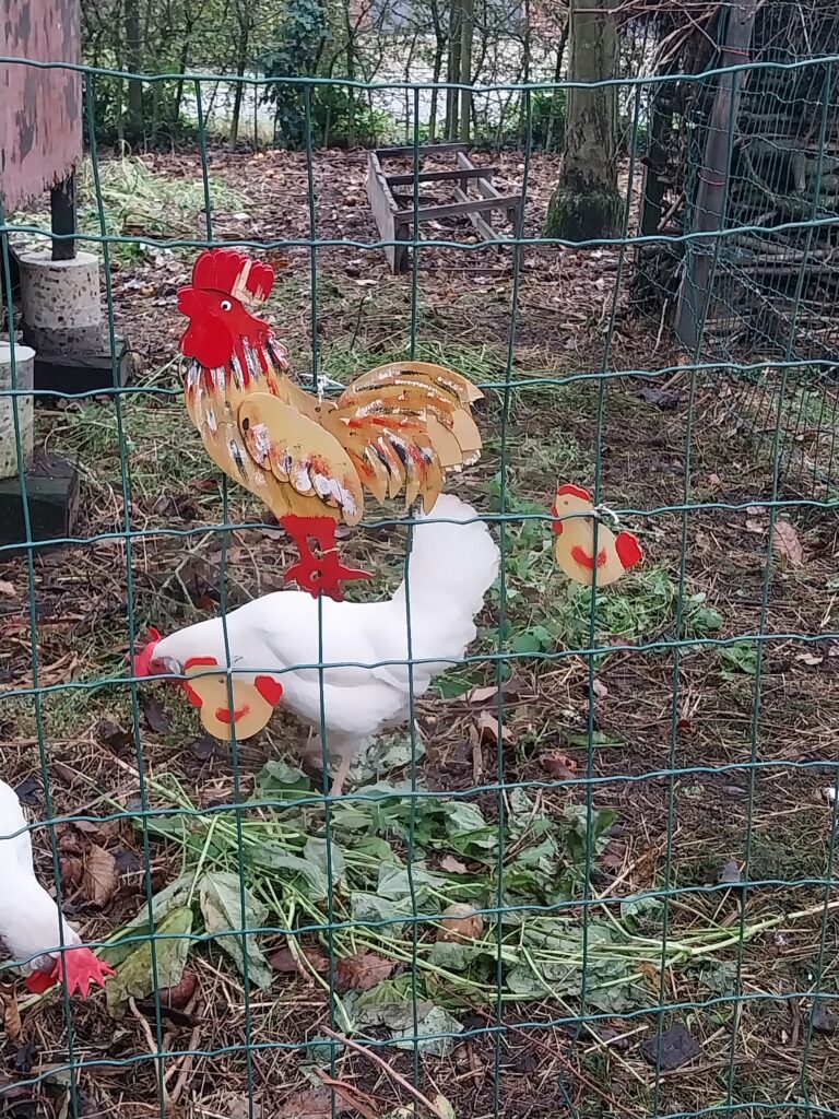 Kippen in de Tuin te Ravels